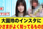 【6月19日の人気記事10選】 ひなあいのアレ櫻坂46大園玲のインスタで、おひさま… ほか【乃木坂・櫻坂・日向坂】