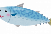 イチバン美味い魚ってサバ、だよね？