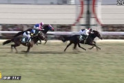 【きさらぎ賞】横山典弘今年早くも重賞3勝目ｗｗｗｗｗｗｗｗｗｗｗｗｗｗｗ
