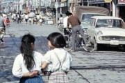 【懐かしい】子供のころ大量にいたが、今全然いないものがコチラ・・・・