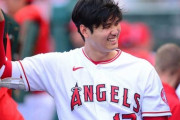 【悲報】大谷翔平がマダムに大人気のせいで中田翔風評被害