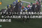 モズアスコットに良血牝馬集める提案 キンカメ系比較で見える欧州適性と実績の差