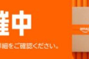 【涙】中革連「落選者支援クラファンします。返礼は直筆色紙や動画、議員と電話する権利など」