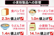 ゲハ民の食費代