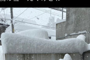 【超画像】札幌　雪に埋まる