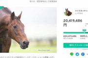 「ウマ娘」効果で、引退馬協会が募ったナイスネイチャのバースデードネーションが2000万円突破！わずか3日で昨年の10倍超え！！