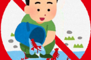 環境省、「ザリガニ相談ダイヤル」を開設　受付時間は午前9時～午後5時