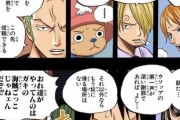 ゾロ「ワイ君の第一声が謝罪でなきゃ置いていく」チョッパー「…！！」