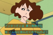 【悲報】みさえ「この安月給！！！」 ひろし(年収600～700万円)「ひえええ！！！」