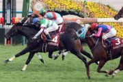 【競馬予想】第58回ステイヤーズステークス(GⅡ) /2024