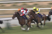 【競馬】春のダノン祭り凄すぎwww