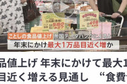 【悲報】日本ガチで終わる、年末に約一万の食料品が値上げ