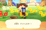 あつまれどうぶつの森 住民から宝探しゲームに誘われました