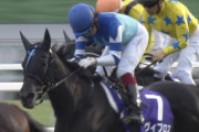 【競馬/エリ女】エリザベス女王杯はヴィブロスが大穴を開ける