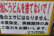 【画像】うどんを食べる鯉ｗｗｗｗｗｗｗｗｗｗｗ