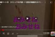【悲報】知的障害者さん「うあああ゛！(ｺﾞﾝｺﾞﾝ」壁に頭を打ち付けて死亡　施設職員4人を書類送検
