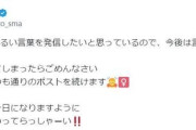 やす子がXを更新、自身への不適切投稿を受けて「今後は言及しません」