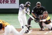 阪神近本が復調兆しの先頭打者弾「やられたらやり返す」矢野監督