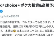【朗報】ポケカ自称投資家「ポケカは終わってません。アンチが安く買い叩こうとネガキャンしてる」