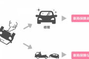 「車両保険」って付けたほうがいいかな？？