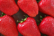 きっとイ●ンで売るんだろうな　〜　【中央日報】 克日農産物の代名詞「韓国イチゴ」、ビタミンＣ豊富な新品種が新たに登場