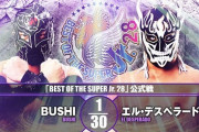 BUSHIvsエル・デスペラード『BEST OF THE SUPER Jr. 28』12.5静岡