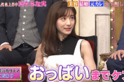 【画像あり】しゃべくり007の田中みな実可愛すぎてシコココォ！