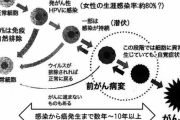 【若い女性に増える子宮頸がん】赤ちゃんと子宮を一緒に失う悲劇を防ぐために