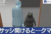 【悲報】クマ、もはや手段を選ばない