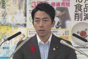 小泉進次郎ポエム担当大臣「（国連での沈黙は）どういう答えが最適なのか考えた結果だ」