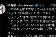 平野綾「アニメの仕事をすると殺害予告されます」←この人なにしたの？