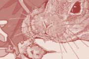 【ウマ娘】これ本当にアドマイヤベガ！？