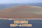 【朗報】沖ノ鳥島、誰がどう見ても完璧な島だったｗｗｗｗｗｗｗ