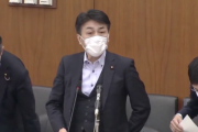 【また立憲民主党】QB黒岩氏「１千万人の人たちが不安でツイート」検察庁法改正案（国会動画）