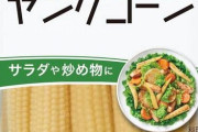 これ私が1番好きなんじゃ？と思う食材