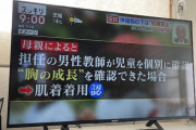 【悲報】小学生のブラジャー禁止、学校の方針じゃなく一人のロリコン教師が自分の趣味で勝手に始めたことだった