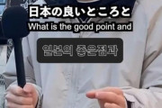 【画像】韓国人「驚愕的外国人が見た日本の長所と短所がこちらです‥」→「日本人は可愛い‥（ﾌﾞﾙﾌﾞﾙ」　韓国の反応