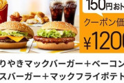 【画像】このマクドナルドのお得な2人用セット、お前ら1人で完食できる？