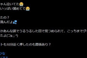 【闇深】櫻坂の稲熊ひなちゃんリアルミーグリで号泣した後体調不良で欠席