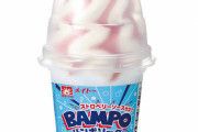 【画像】お前らに最強のアイスを教えてやろうｗｗｗ