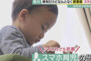 便利だけど"罪悪感"ある「スマホ育児」 発育への悪影響は“限定的”　阪大などが明らかに【大阪発】
