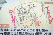 仙台の小学生「弱いわよ、阪神は、弱いわよ」