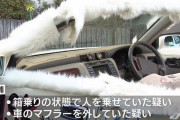 【画像】DQNが成人式に乗っていった改造車がかっこよすぎると話題に