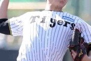 【阪神】畠世周、楽天戦で１イニング３者凡退の好投「ポジションを奪い取りに」石井離脱の穴を埋める
