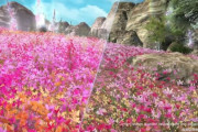 【FF14】フィールドの植物がより表情豊かに！7.0の第一次グラフィックスアップデートが楽しみすぎる件