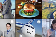 【画像】JALとANAのインスタ、戦略の違いがはっきりしていると話題に