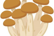 【募集】「しめじ」を一番美味く食べる方法wwwww