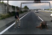 【動画あり】カップルが高速道路で喧嘩→女「死んでやる！」