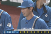 日本ハム連敗ストップ！根本が5回2失点粘投！松本剛が2安打3打点の活躍！