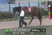 【JRA】マルターズアポジーが引退、白馬牧場で種牡馬入り
